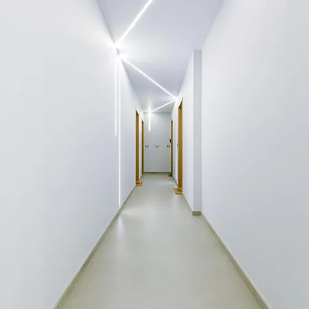 Apartman Queen Mary Rose For Medium Rent